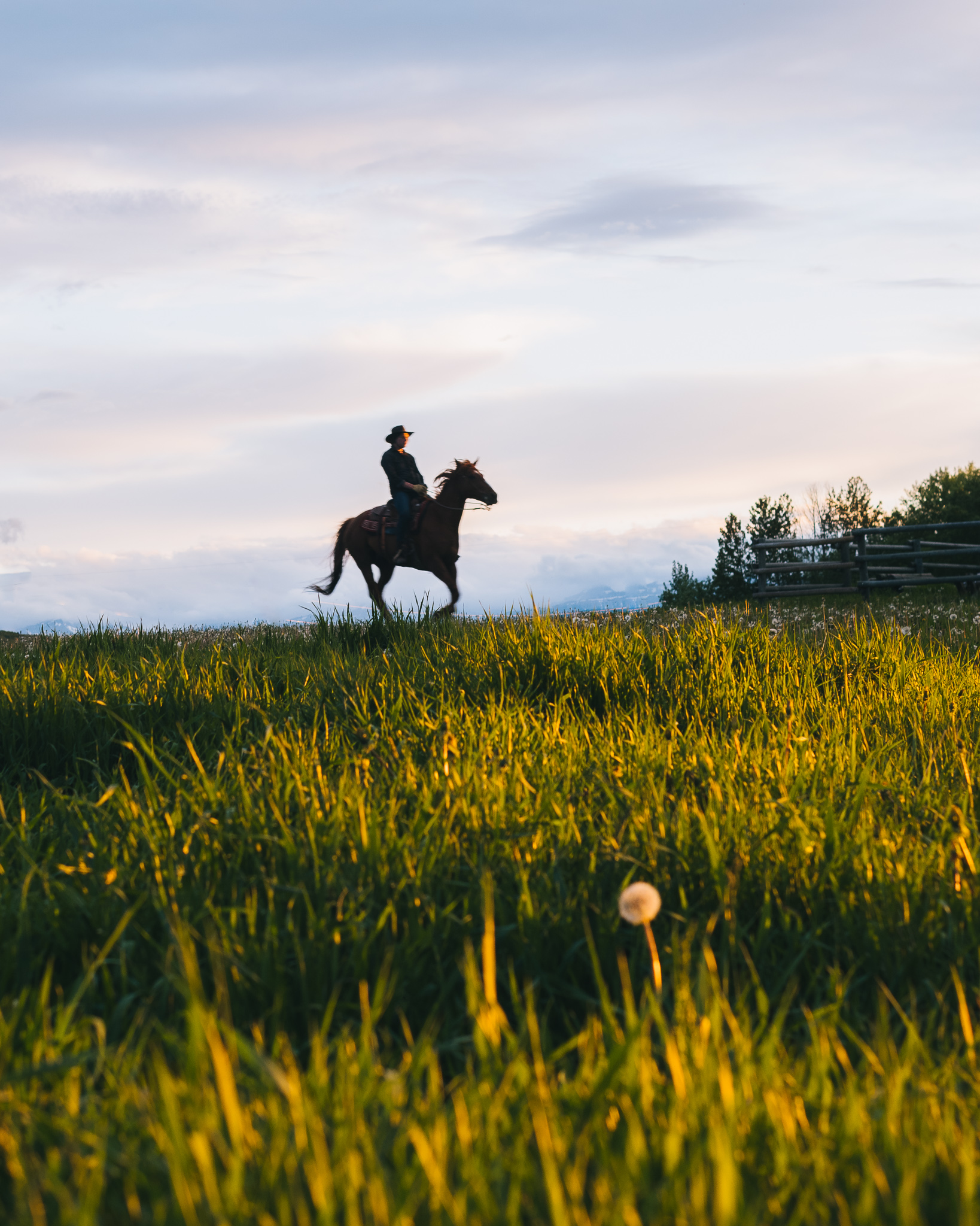 Alberta Foothills