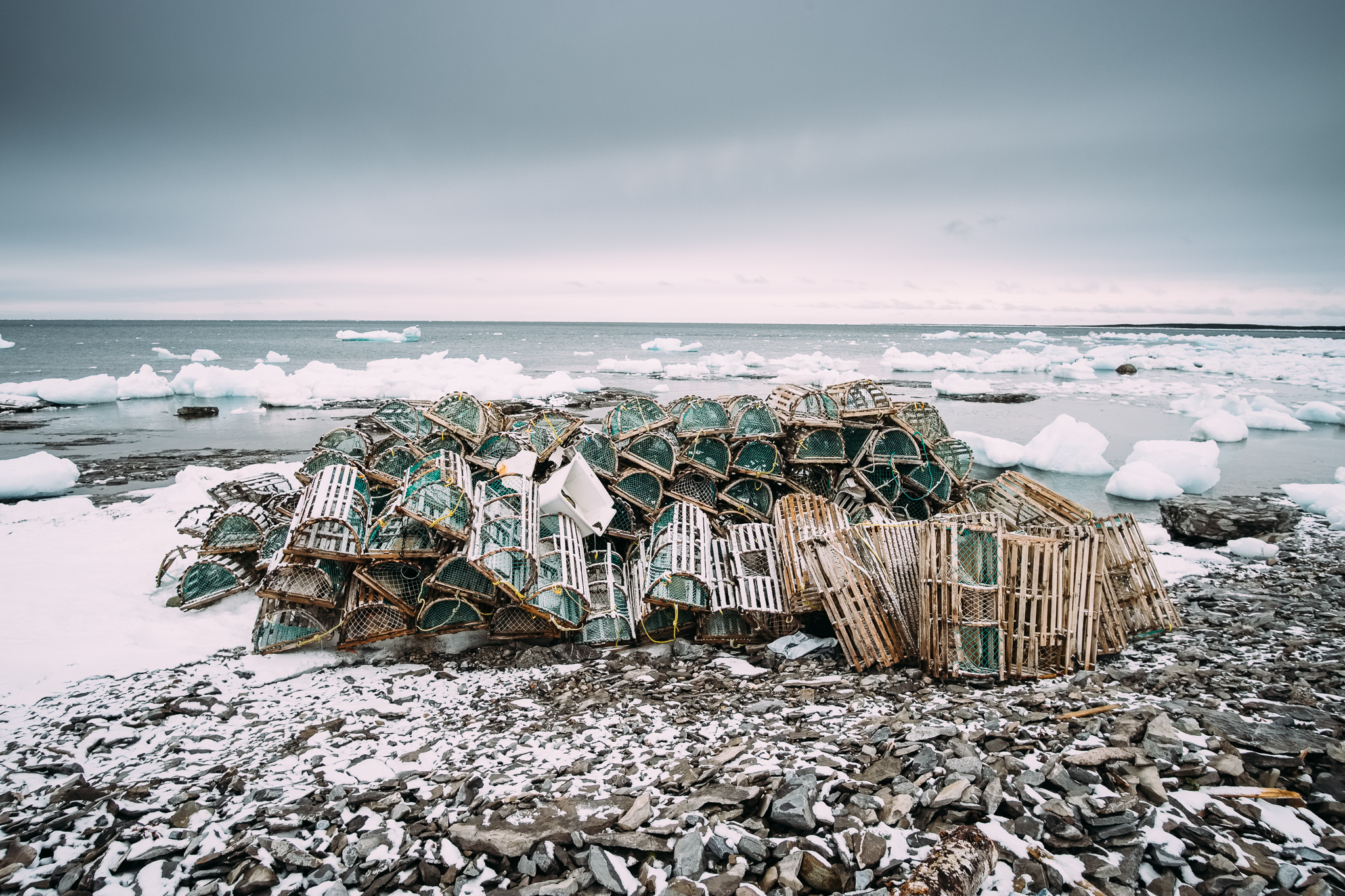 Coast of Newfoundland