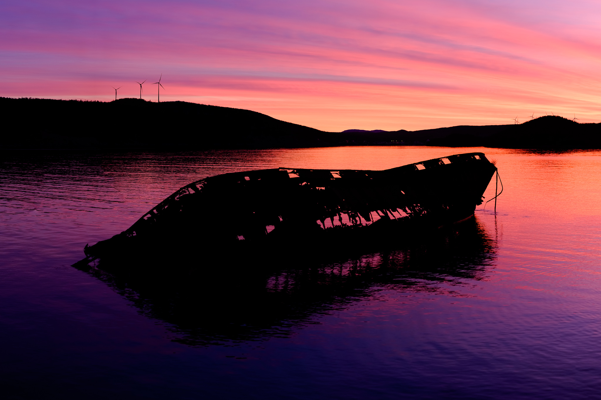 Coast of Newfoundland