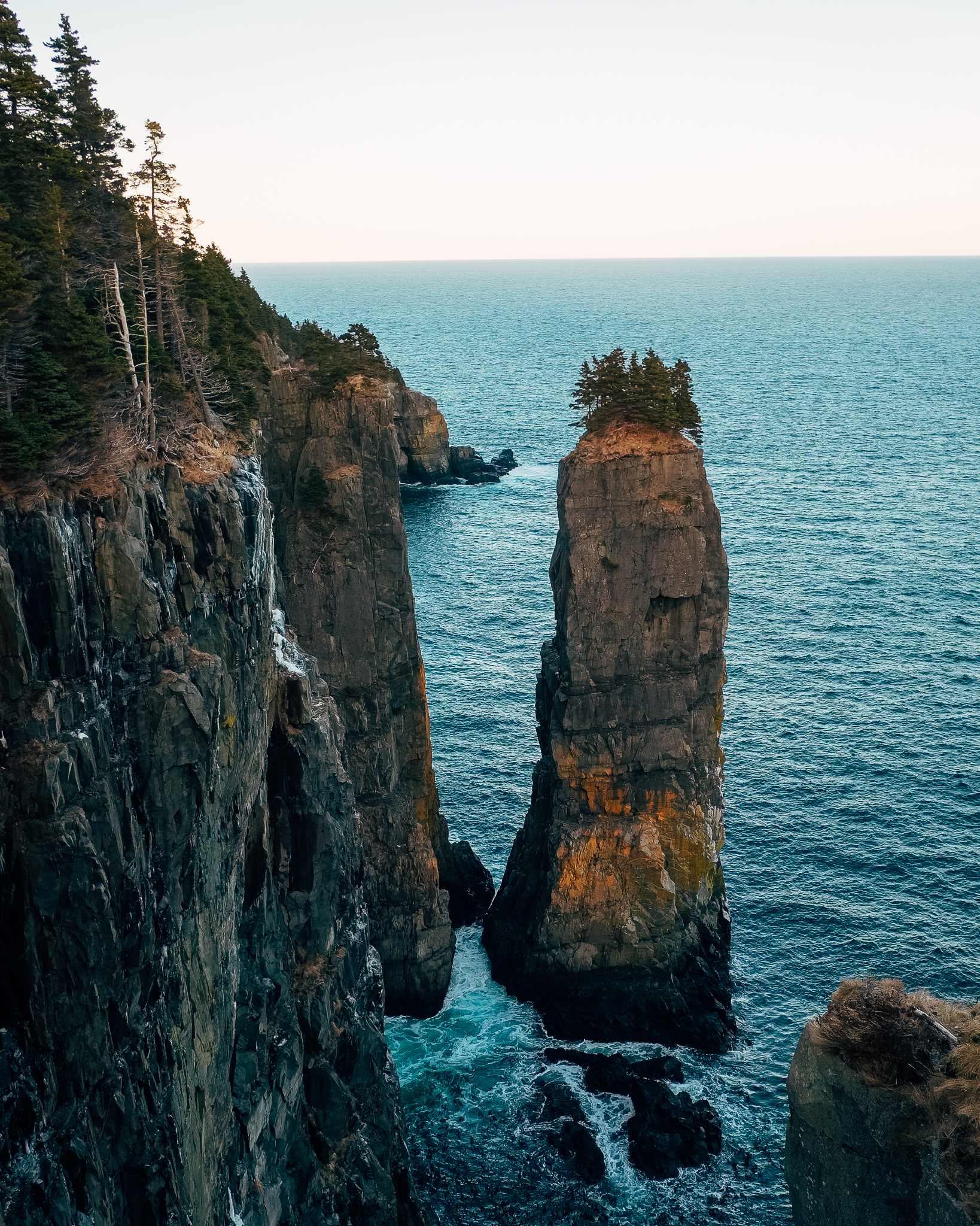 Coast of Newfoundland