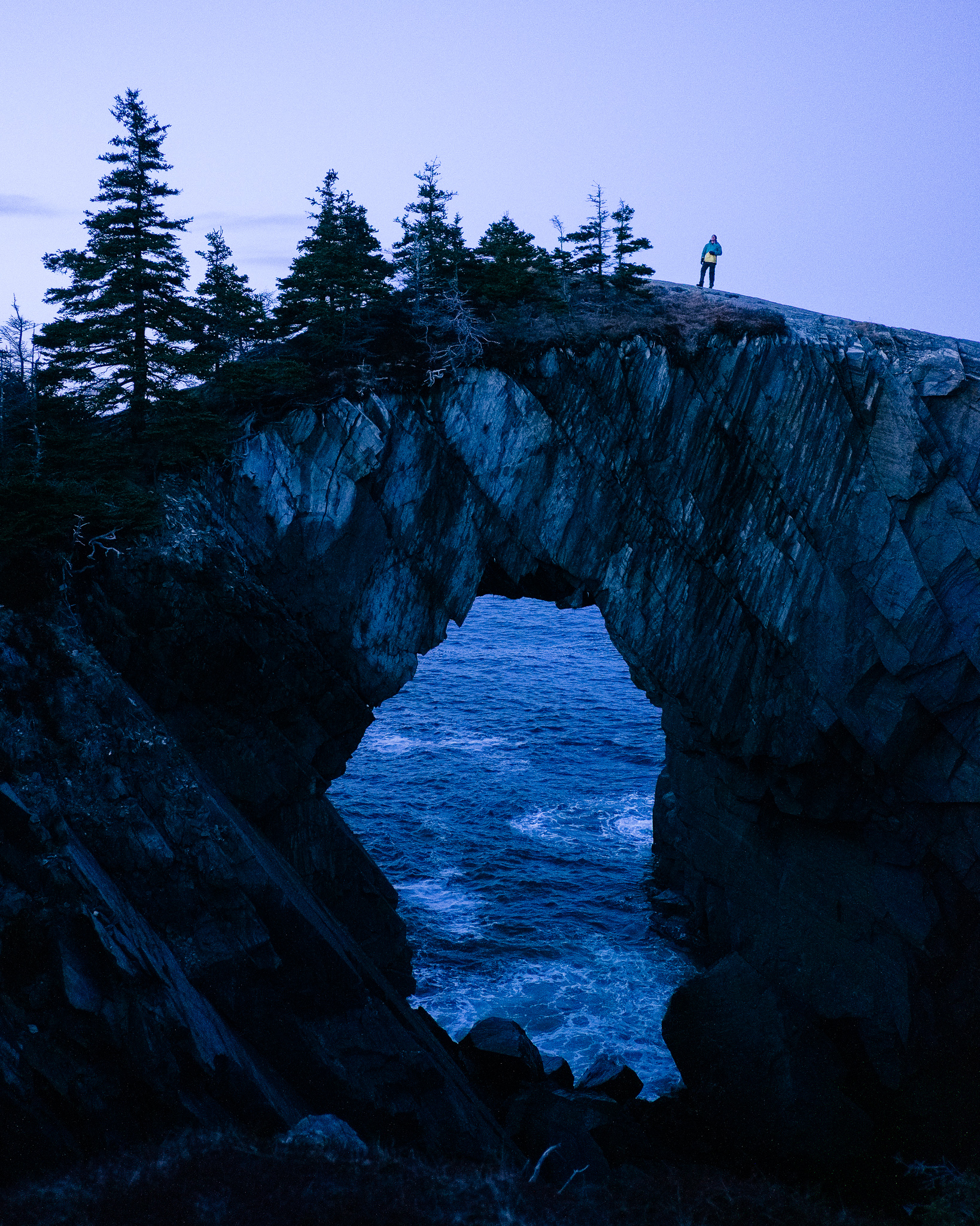 Coast of Newfoundland