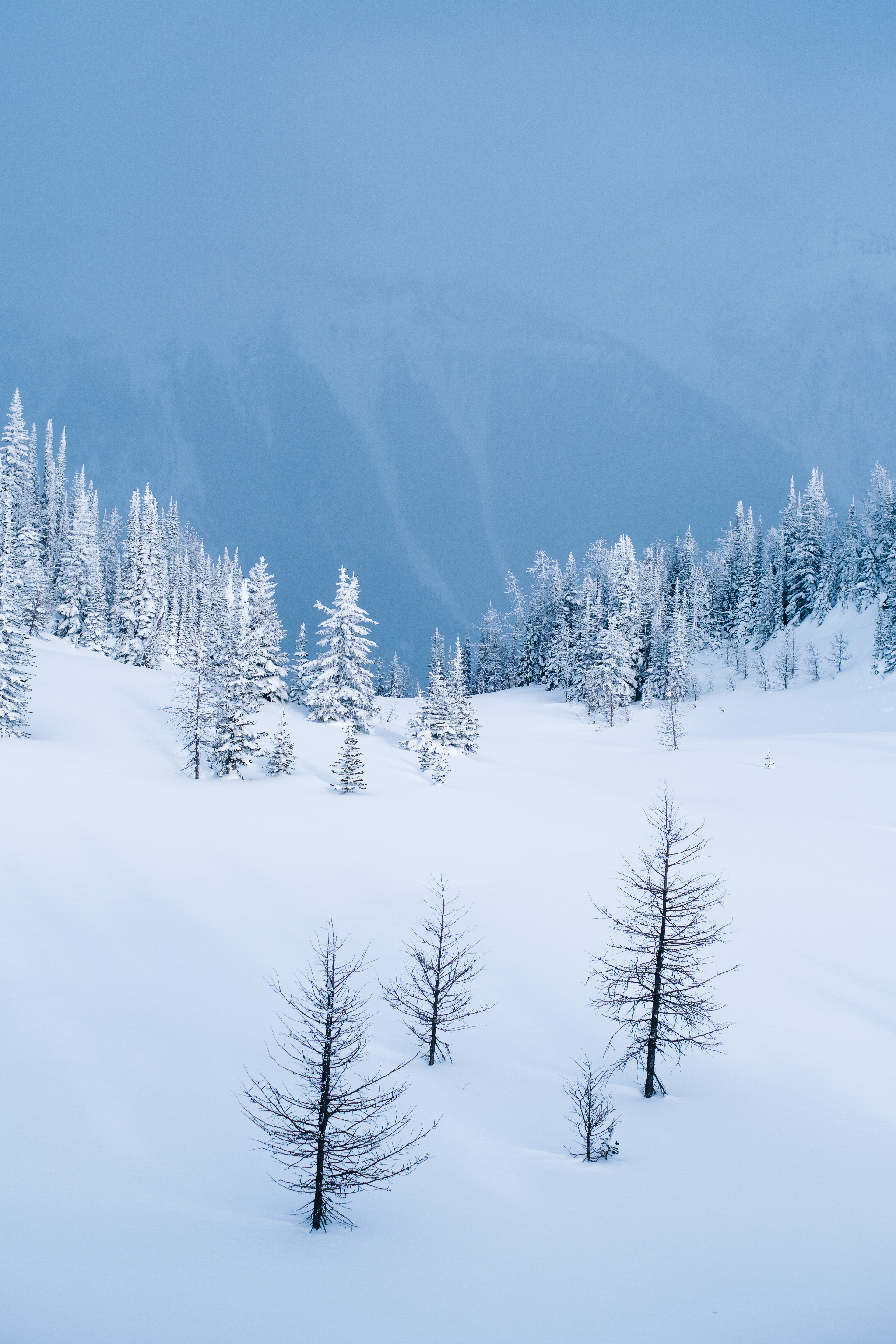 Canadian Rockies