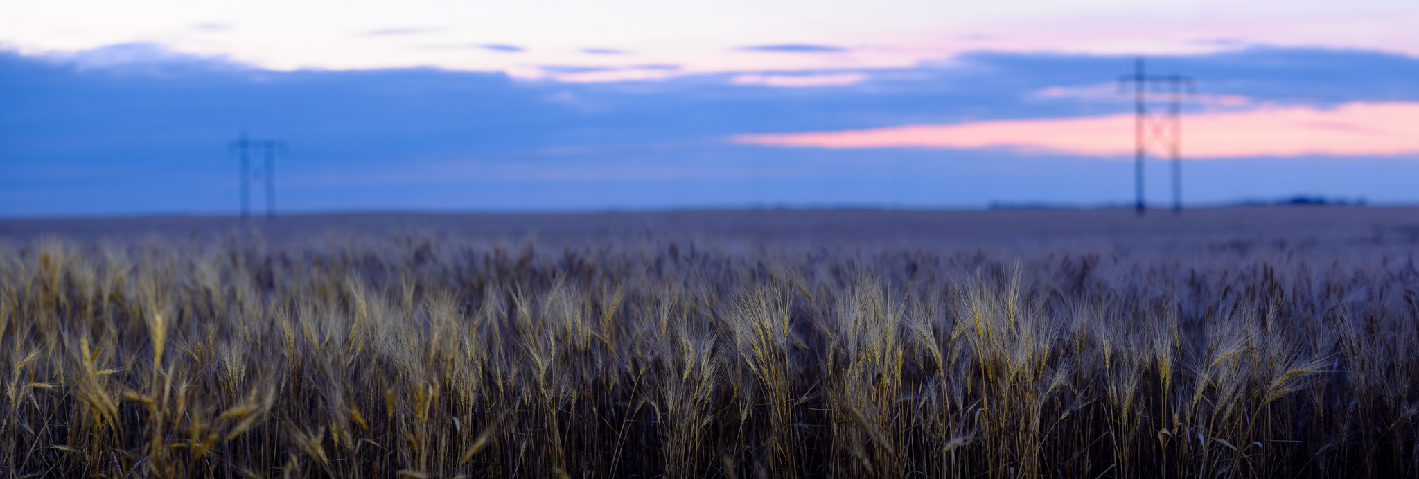 Plains of Saskatchewan