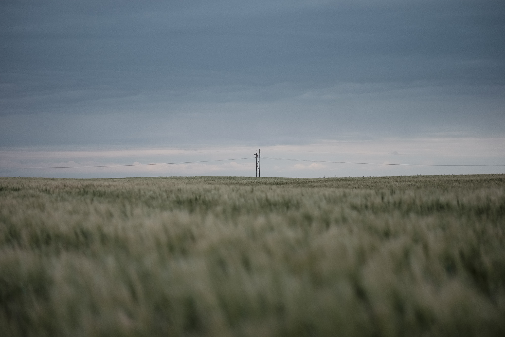 Plains of Saskatchewan